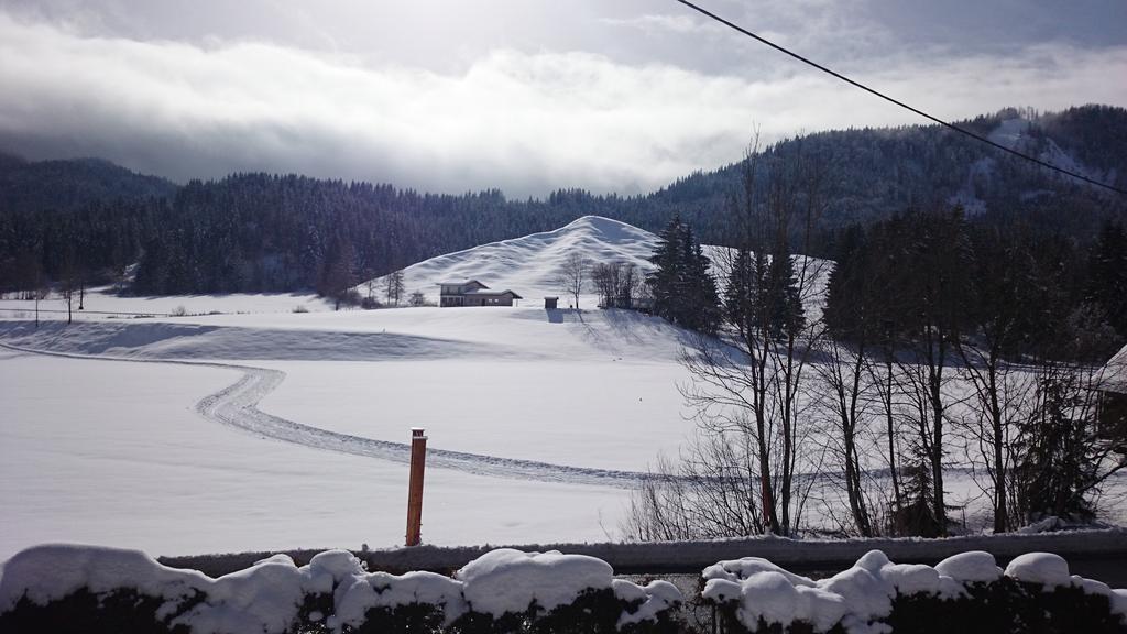 Haus Alpina Daire Weissensee Dış mekan fotoğraf